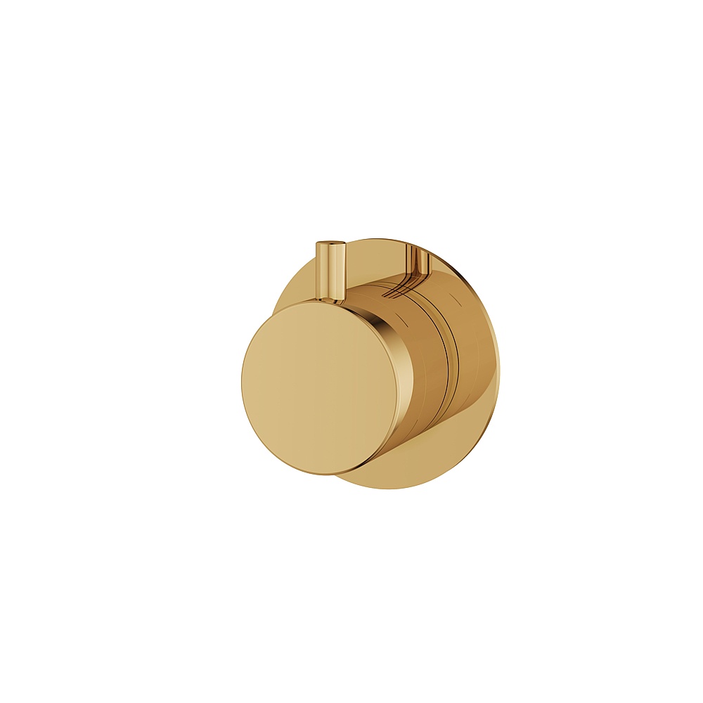Aquabrass ABST93921PGD Shower Trims Round Trim Set 2-Way Shared for 61934 Diverter - Polished Gold