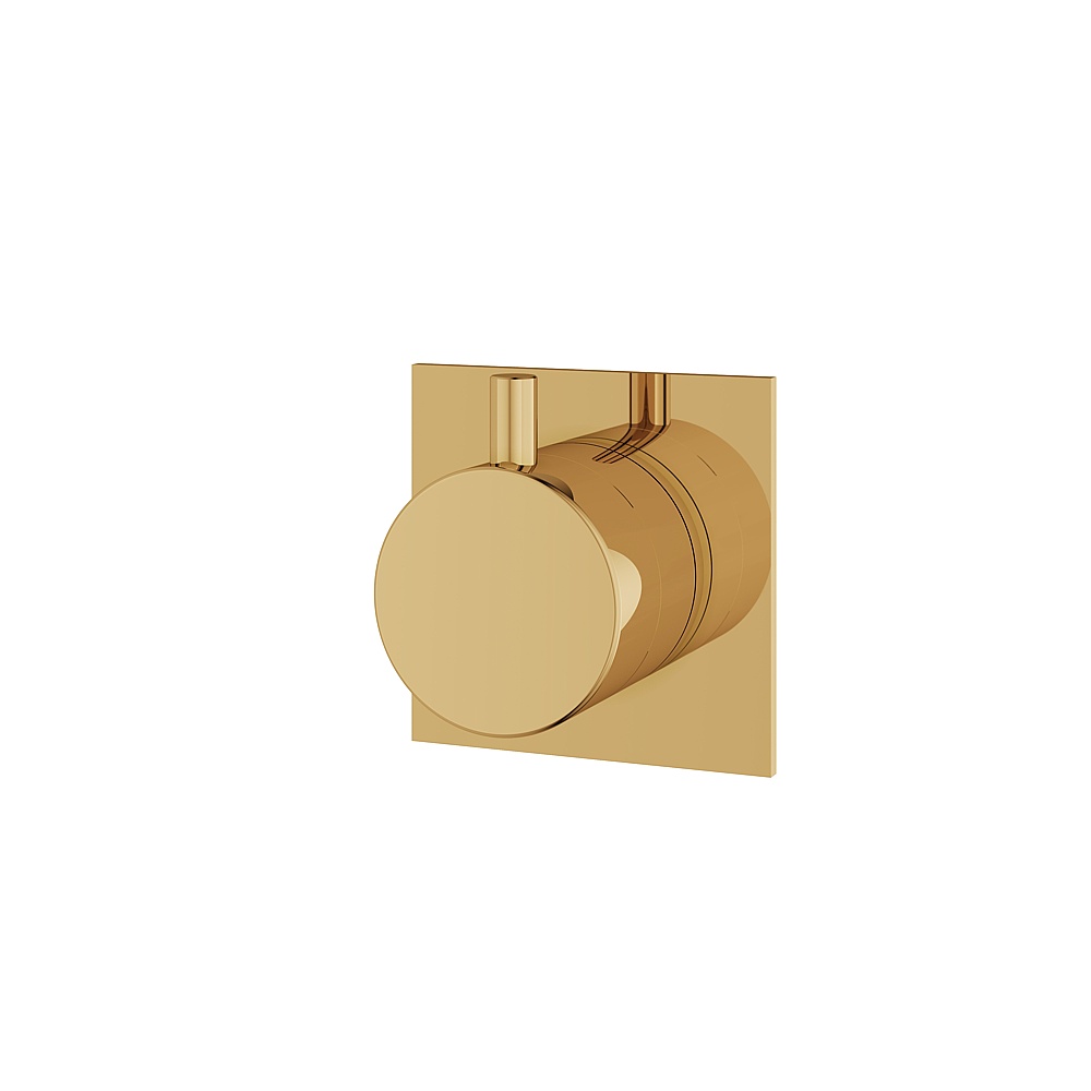 Aquabrass ABST93932PGD Shower Trims Square/Round Trim Set 3-Way Shared for 61934 Diverter - Polished Gold