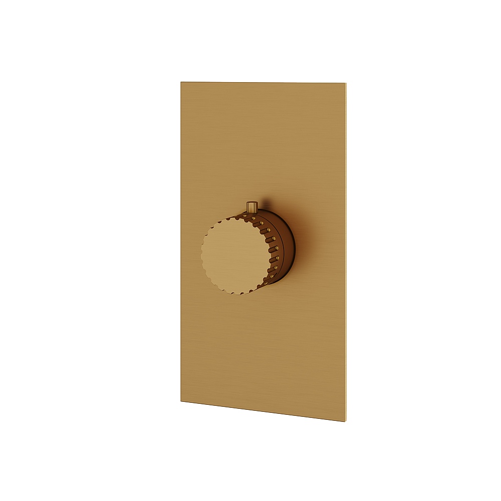 Aquabrass ABSTSR3034BGD Tosca Trim Set for T12000 Valve - Brushed Gold