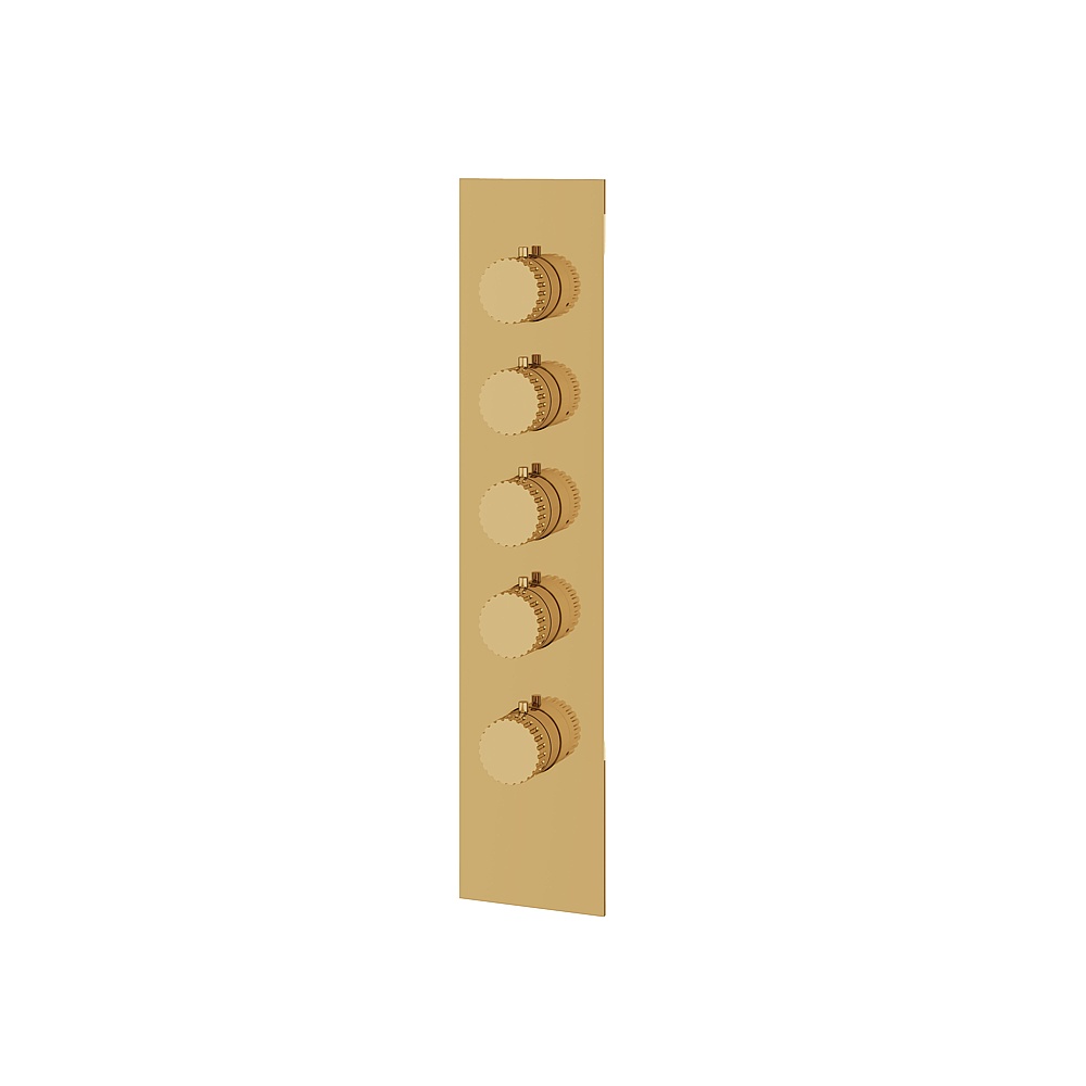 Aquabrass ABSTSR3434PGD Tosca Trim Set for T12004 Valve - Polished Gold