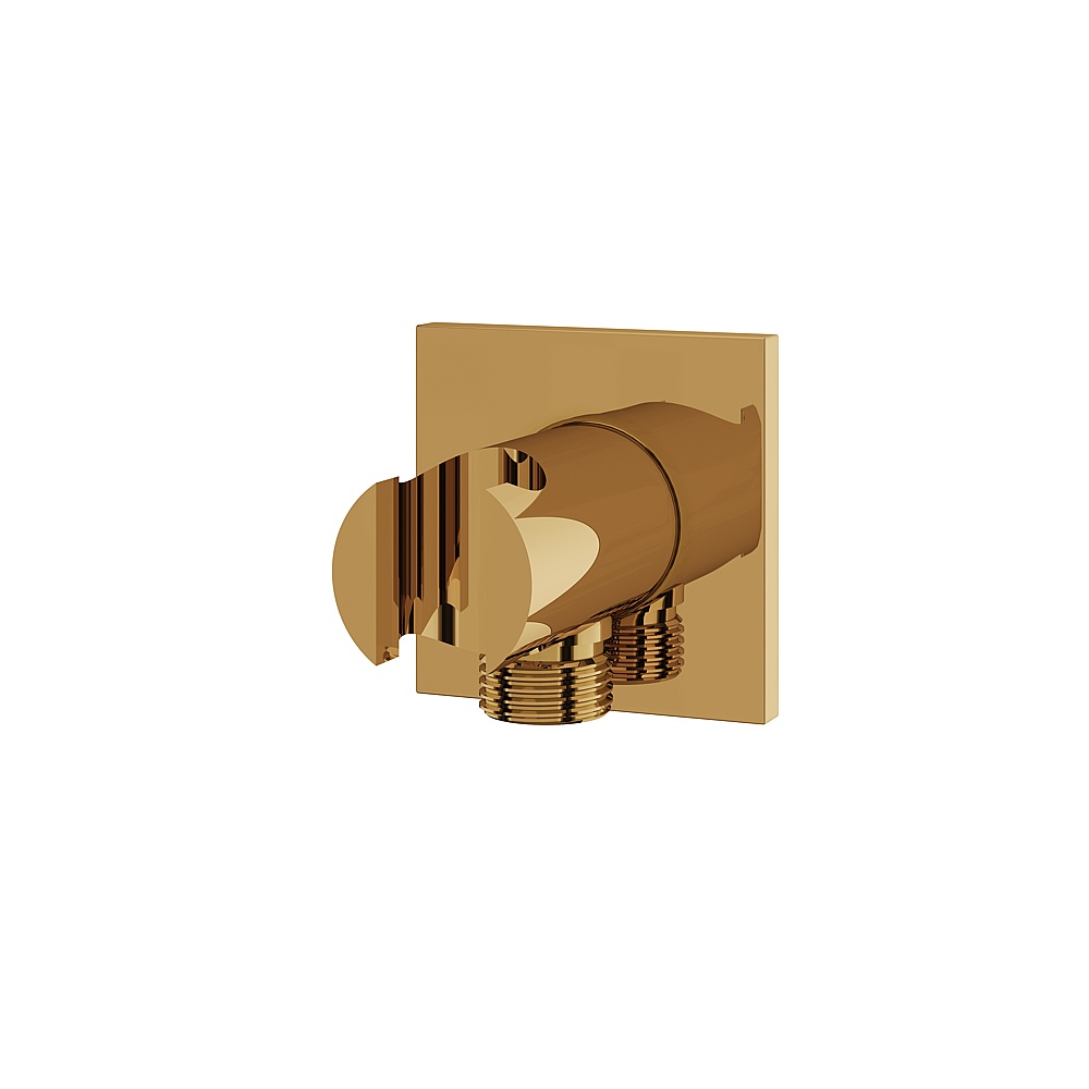 Aquabrass ABSCSWH21PGD Waterways Round Waterway with Square Flange & Hook - Polished Gold